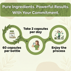 Provenix Dietary Supplement | 60 Capsules