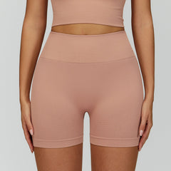 Women's High-Waist Tight Yoga Shorts – Running Sport Shorts