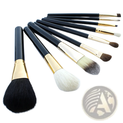 Makeup Brush Set 10 Piece Gold and Black with Case