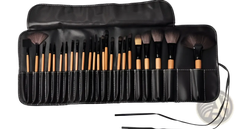 Professional 24 Piece Wooden Makeup Brush Set with Case
